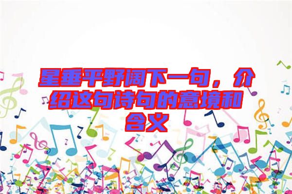星垂平野闊下一句，介紹這句詩句的意境和含義