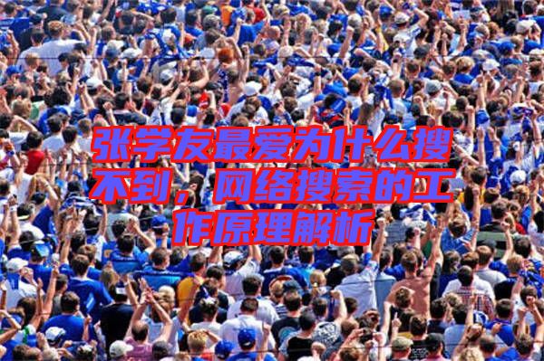 張學友最愛為什么搜不到，網(wǎng)絡搜索的工作原理解析