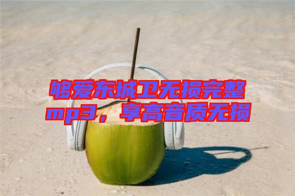 夠愛東城衛(wèi)無損完整mp3，享高音質(zhì)無損