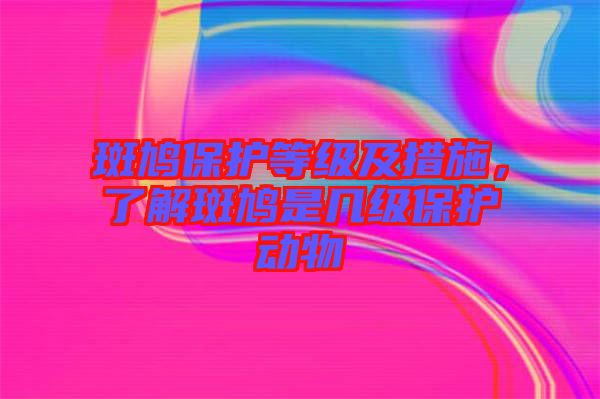 斑鳩保護(hù)等級及措施，了解斑鳩是幾級保護(hù)動物