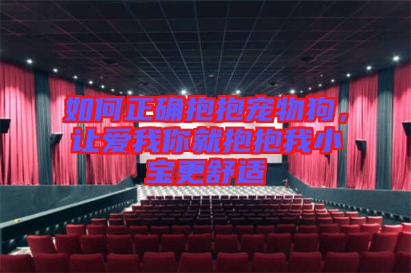 如何正確抱抱寵物狗，讓愛我你就抱抱我小寶更舒適