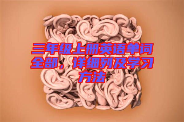 三年級上冊英語單詞全部，詳細列及學習方法