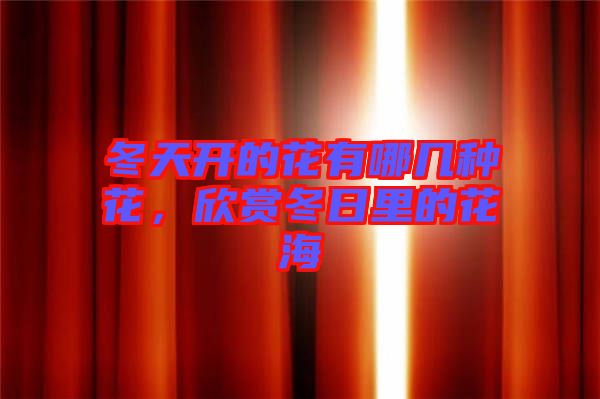 冬天開的花有哪幾種花，欣賞冬日里的花海