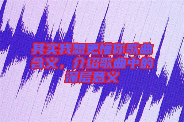其實(shí)我想更懂你歌曲含義，介紹歌曲中的深層意義