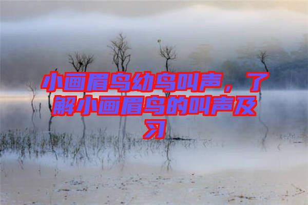 小畫眉鳥幼鳥叫聲，了解小畫眉鳥的叫聲及習