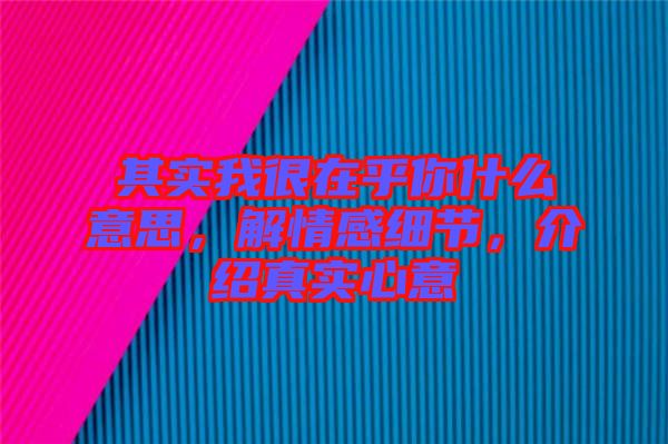 其實(shí)我很在乎你什么意思，解情感細(xì)節(jié)，介紹真實(shí)心意
