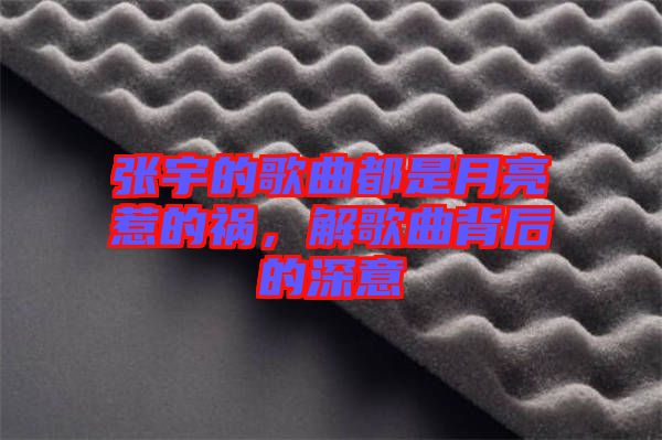 張宇的歌曲都是月亮惹的禍，解歌曲背后的深意