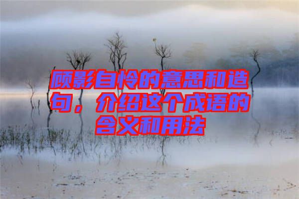顧影自憐的意思和造句，介紹這個成語的含義和用法