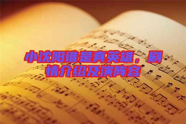 小沈陽誰是真英雄，劇情介紹及演陣容