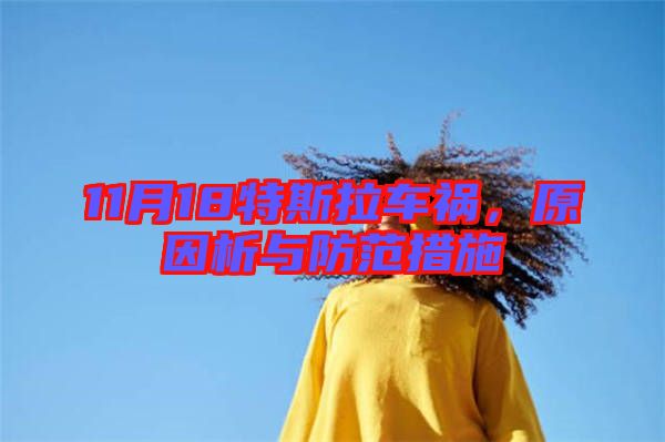 11月18特斯拉車禍，原因析與防范措施