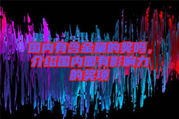 國內(nèi)有含金量的獎嗎，介紹國內(nèi)圈有影響力的獎項(xiàng)