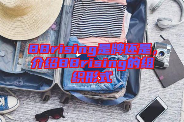88rising是牌還是，介紹88rising的組織形式