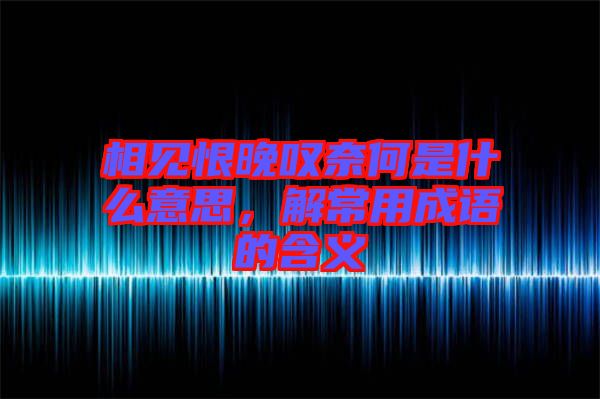 相見(jiàn)恨晚嘆奈何是什么意思，解常用成語(yǔ)的含義