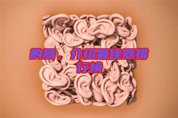 的器，介紹最佳器排行榜