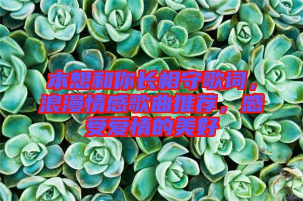 本想和你長相守歌詞，浪漫情感歌曲推薦，感受愛情的美好