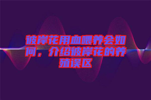 彼岸花用血喂養(yǎng)會如何，介紹彼岸花的養(yǎng)殖誤區(qū)