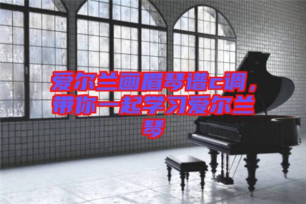 愛爾蘭畫眉琴譜c調(diào)，帶你一起學(xué)習(xí)愛爾蘭琴