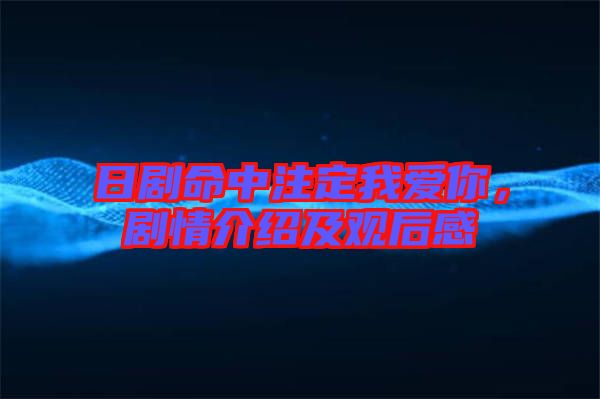 日劇命中注定我愛你，劇情介紹及觀后感