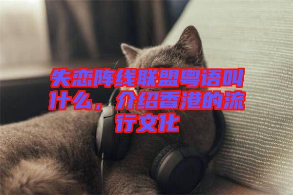 失戀陣線聯(lián)盟粵語叫什么，介紹香港的流行文化