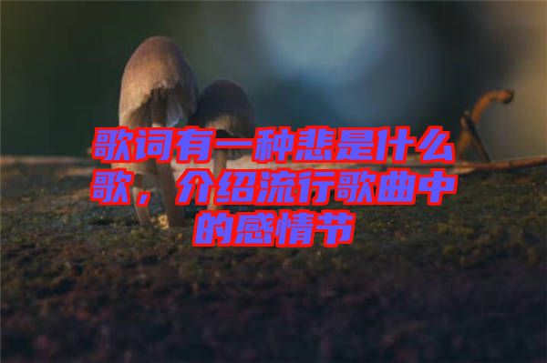 歌詞有一種悲是什么歌，介紹流行歌曲中的感情節(jié)