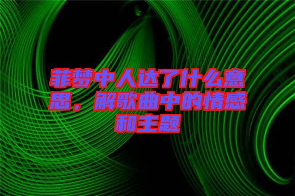 菲夢中人達(dá)了什么意思，解歌曲中的情感和主題