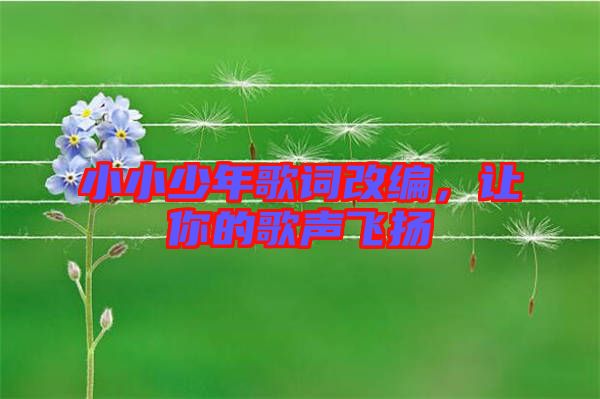 小小少年歌詞改編，讓你的歌聲飛揚(yáng)