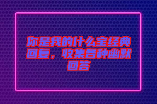 你是我的什么寶經(jīng)典回復，收集各種幽默回答