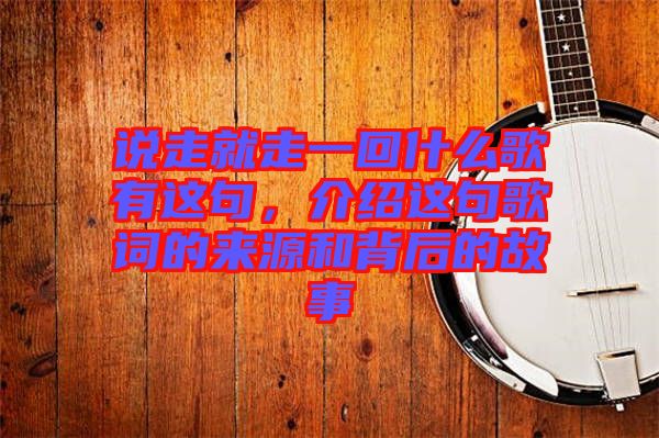 說走就走一回什么歌有這句，介紹這句歌詞的來源和背后的故事