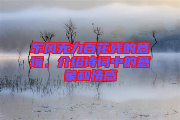 東風(fēng)無(wú)力百花殘的意境，介紹詩(shī)詞中的意象和情感