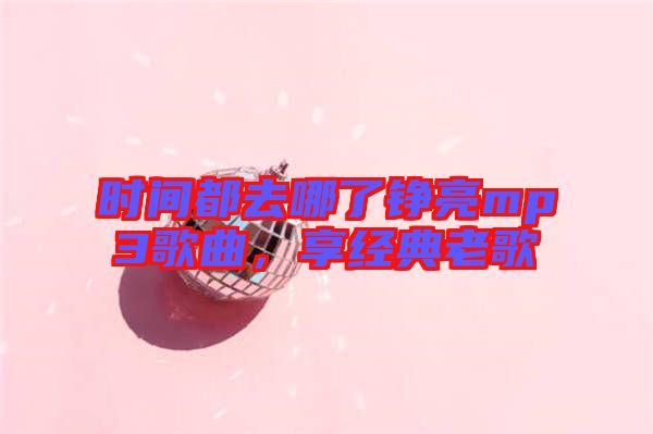 時(shí)間都去哪了錚亮mp3歌曲，享經(jīng)典老歌