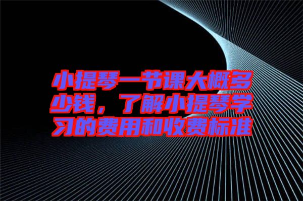 小提琴一節(jié)課大概多少錢，了解小提琴學(xué)習(xí)的費(fèi)用和收費(fèi)標(biāo)準(zhǔn)