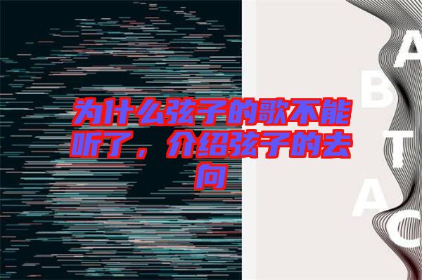 為什么弦子的歌不能聽了，介紹弦子的去向