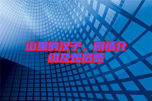 山里的漢子，劇情介紹及觀后感