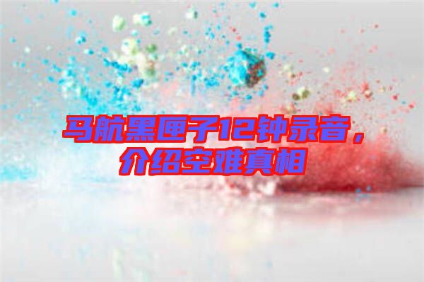 馬航黑匣子12鐘錄音，介紹空難真相