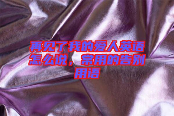 再見了我的愛人英語怎么說，常用的告別用語