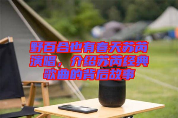 野百合也有春天蘇芮演唱，介紹蘇芮經(jīng)典歌曲的背后故事