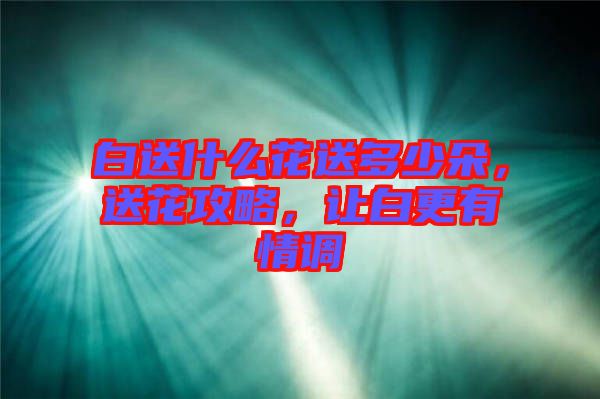 白送什么花送多少朵，送花攻略，讓白更有情調(diào)