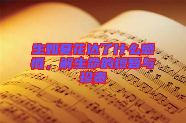 生如夏花達(dá)了什么感慨，解生命的短暫與珍貴