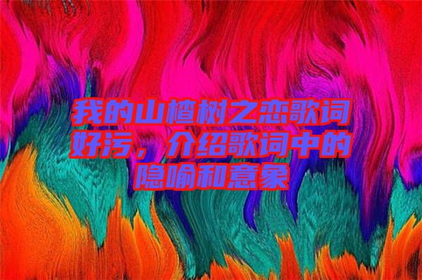我的山楂樹之戀歌詞好污，介紹歌詞中的隱喻和意象