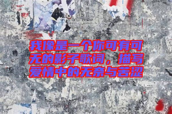 我像是一個(gè)你可有可無的影子歌詞，描寫愛情中的無奈與苦澀