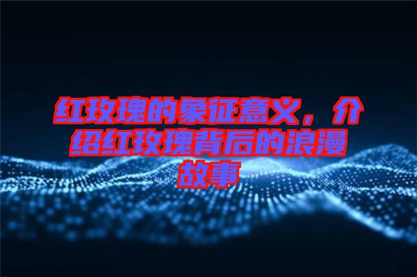 紅玫瑰的象征意義，介紹紅玫瑰背后的浪漫故事