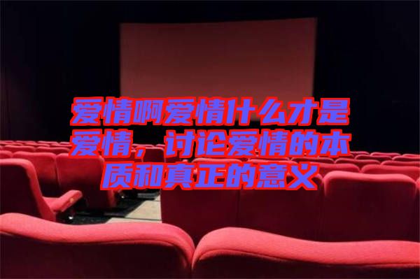 愛情啊愛情什么才是愛情，討論愛情的本質(zhì)和真正的意義