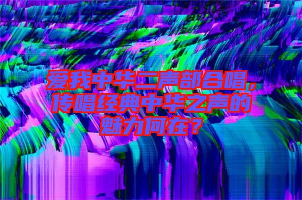 愛我中華二聲部合唱，傳唱經(jīng)典中華之聲的魅力何在？