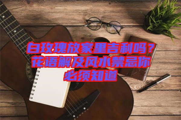 白玫瑰放家里吉利嗎？花語解及風(fēng)水禁忌你必須知道