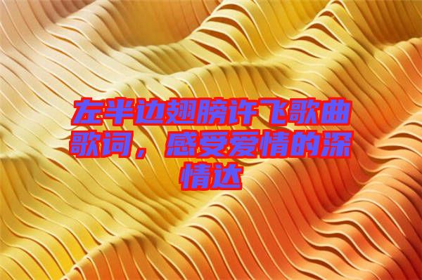 左半邊翅膀許飛歌曲歌詞，感受愛情的深情達(dá)