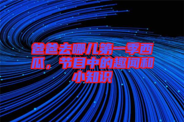 爸爸去哪兒第一季西瓜，節(jié)目中的趣聞和小知識