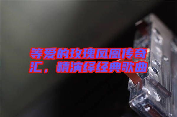 等愛(ài)的玫瑰鳳凰傳奇匯，精演繹經(jīng)典歌曲