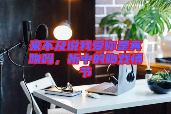 來不及說我愛你是真吻嗎，析中的吻戲情節(jié)
