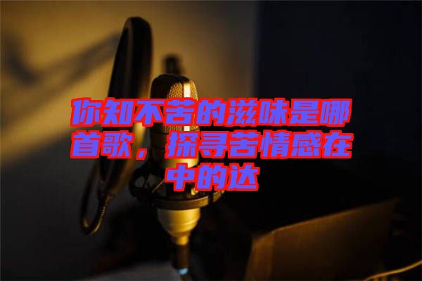你知不苦的滋味是哪首歌，探尋苦情感在中的達