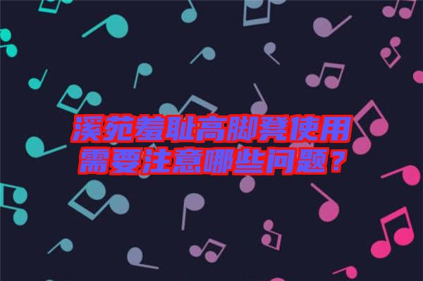 溪苑羞恥高腳凳使用需要注意哪些問題？